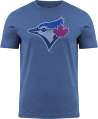 Toronto Blue Jays MLB Distressed Logo Light Blue T-Shirt