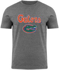 Florida Gators NCAA Division 1 Distressed Gray T-Shirt