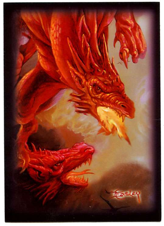 Deck Protectors - Standard Size - Easley Dragon - 50ct