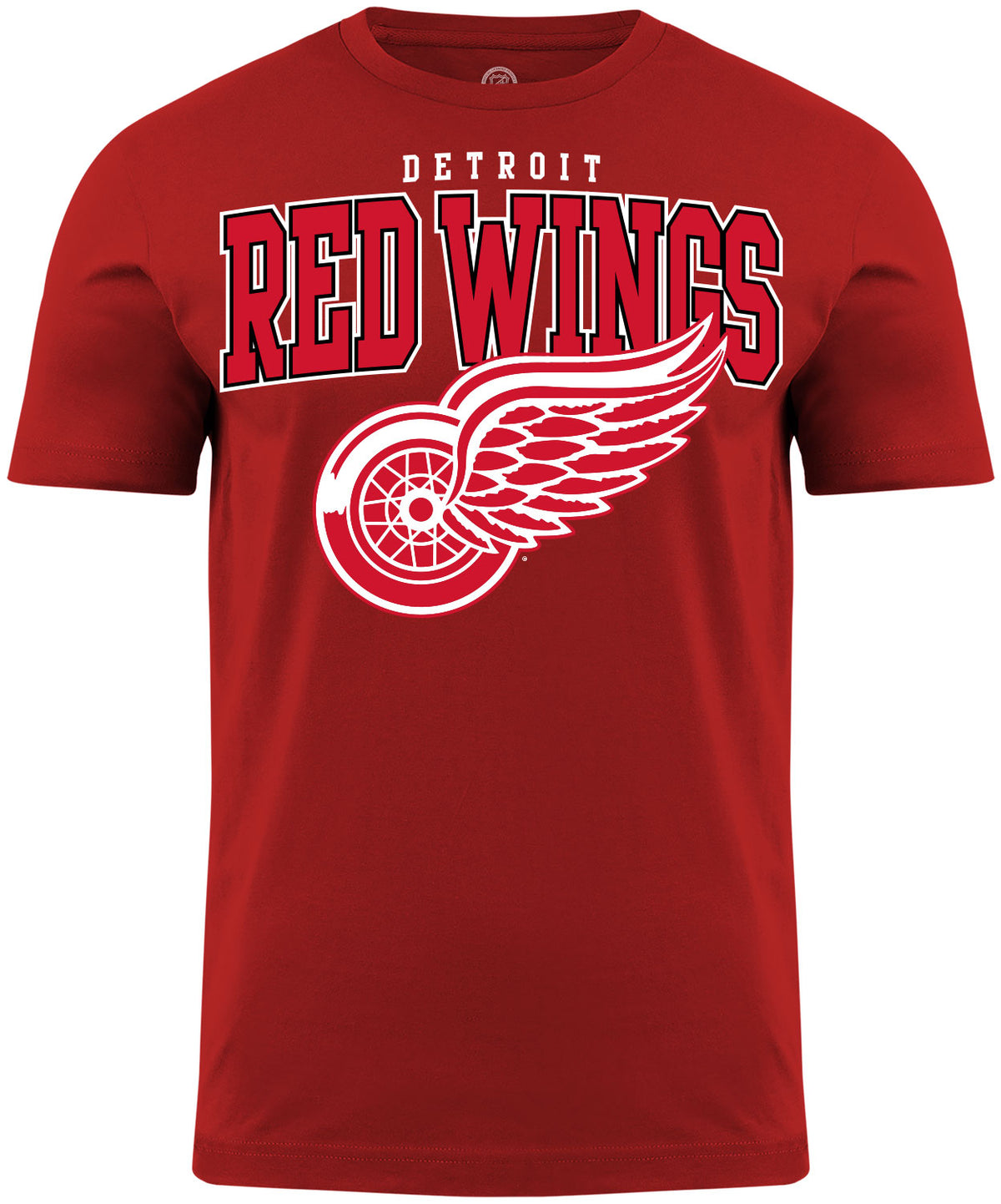 Detroit Red Wings NHL Back 2 Basics Red T-Shirt