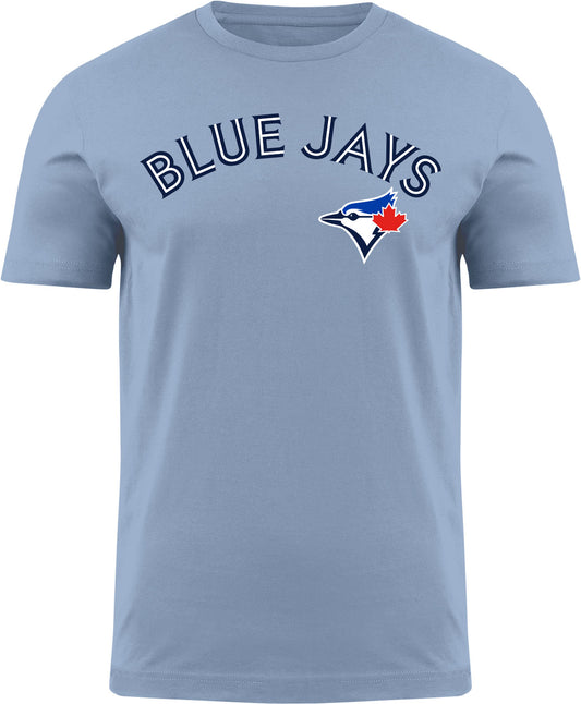 Toronto Blue Jays MLB Wordmark Light Blue T-Shirt