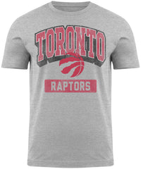 Toronto Raptors NBA Back2Basics Gray Hudson T-Shirt