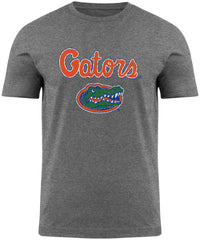 Florida Gators NCAA Division 1 Distressed Gray T-Shirt